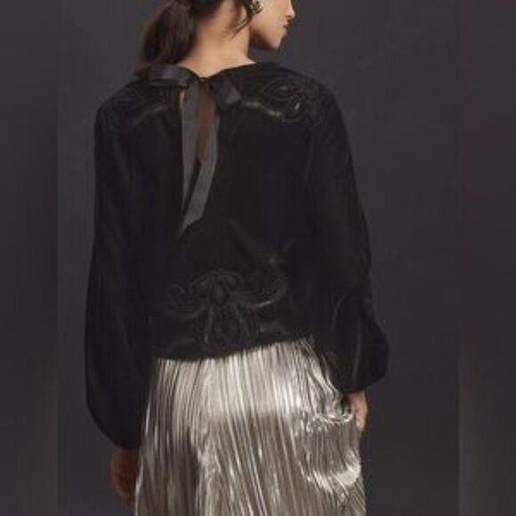 NWT Size XL - The Lainie Long-Sleeve Lace Cutwork Blouse: Velvet - Picture 4 of 5